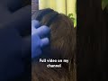 #foryou