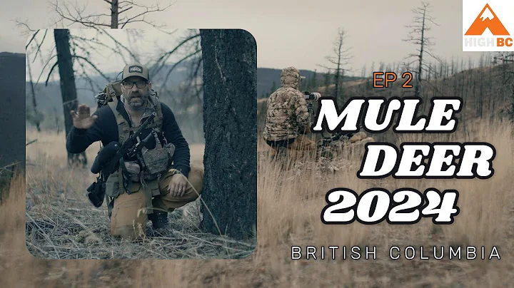 MULE DEER HUNT BRITISH COLUMBIA | 2024 | PART 2