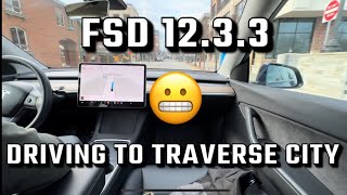 Tesla|FSD Beta 12.3.3|Driving Into Traverse City, Michigan|😯