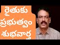 Cocoa Farming in Crisis || కోకో పంటకు కనీస మద్దతు ధర ఏపీ ప్రభుత్వం శుభవార్త