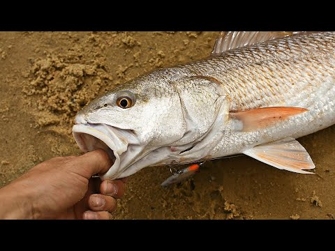 THE FISH WENT CRAZY ON THIS LURE! FISHING LURES FOR BIG SALTWATER FISH!