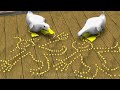 Max und Moritz - letzter Streich - 3D Animation