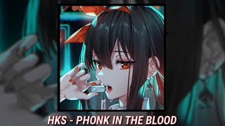 HKS - Phonk In The Blood