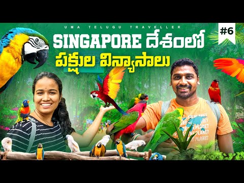 Jurong Bird Park In Singapore | Uma Telugu Traveller