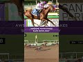 Cheers to Slow Down Andy and all of his connections! Congrats on your #WAYI Awesome Again victory!