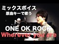 ミックスボイスでONE OK ROCK 「Wherever you are」歌ってみた | KUBOTA MUSIC 久保田光太