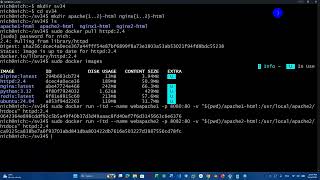 Docker Container Web Server (NGinx and Apache2)