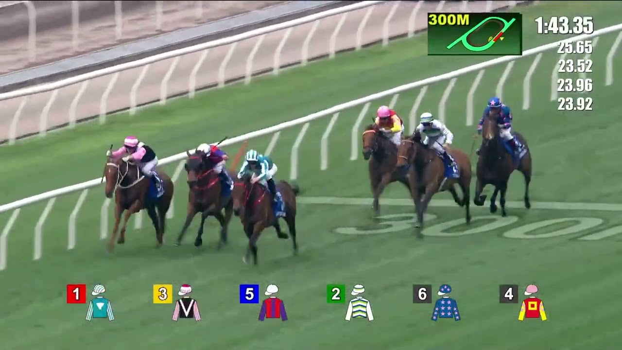 【香港ゴールドカップ】ロマンチックウォリアー圧勝