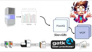Learn Next Generation Sequencing (NGS) Data Analysis From Scratch Using GATK Pipe Line