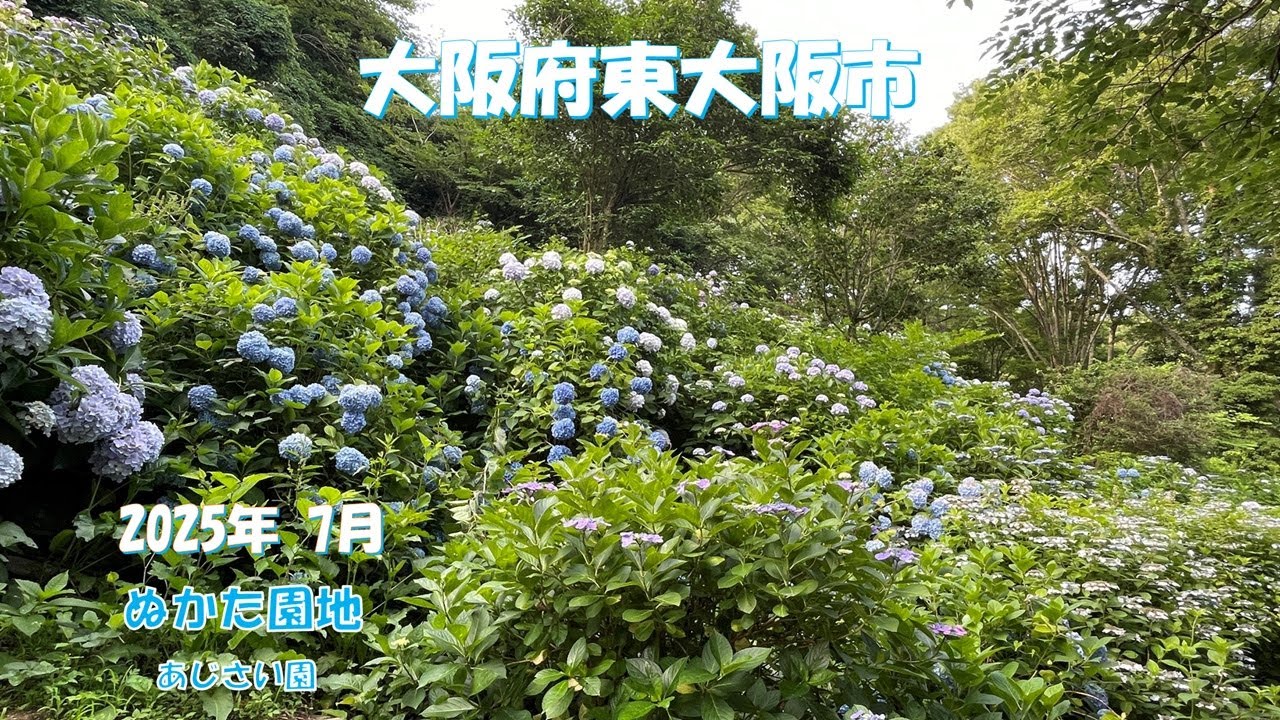 大阪府東大阪市に行ってきました。【2025.07.01】