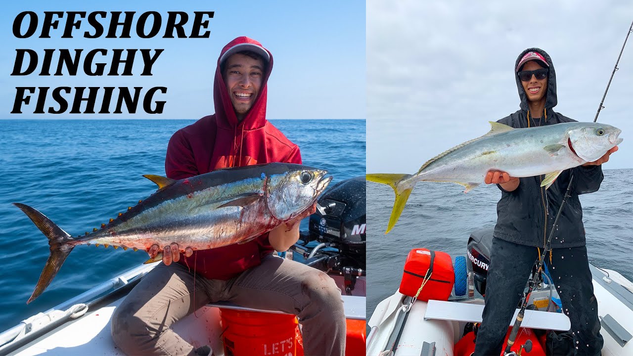 INFLATABLE BOAT TUNA AND YELLOWTAIL!! Offshore Dinghy Fishing YouTube