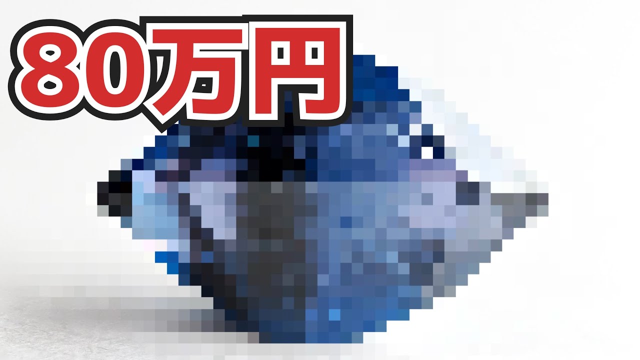 [Распаковка минералов] Я купил камень стоимостью 800 000 иен.