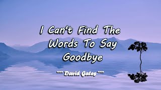 I Can&#39;t Find The Words To Say Goodbye - David Gates ( KARAOKE )