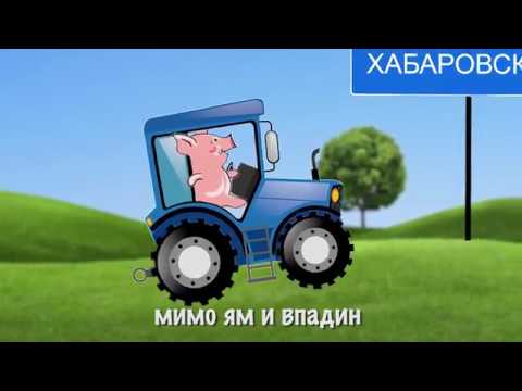 Поросенок в Хабаровске - YouTube