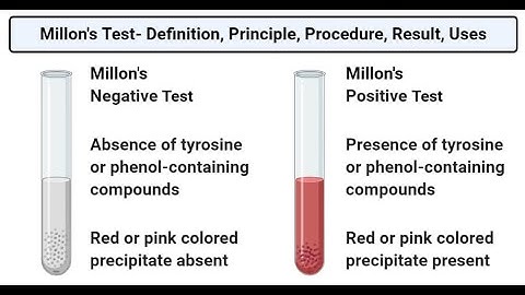 millons test for protein detection