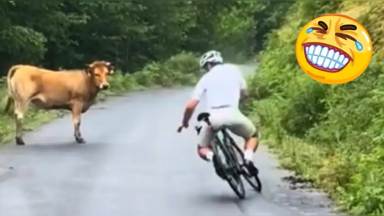 Try not to laugh 🤣 Top 100 funniest fails and memes of 2025. Part 15