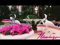 1492 INSIDE Tour of the FLAMINGO Hotel & Casino BUGSY SIEGEL - LAS VEGAS Travel Vlog (5/12/21)