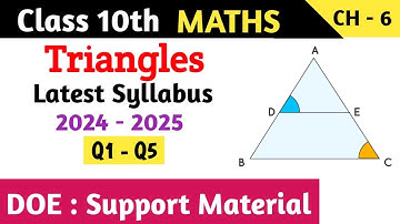 Class 10 Maths Chapter 6 Triangles Support Material | Q1 to Q5
