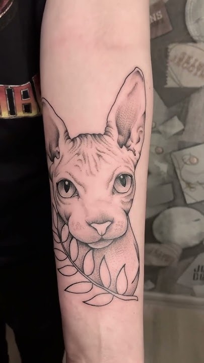 Тату сфинкс #тату #tattoo #татуировки #апатиты # Москва # Сочи ...