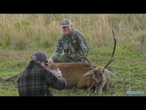 Fried Turkey and a Fallow Deer Hunt in Okeechobee FL