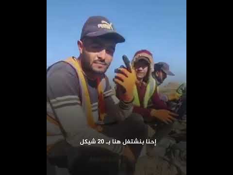 كلمات مؤثرة عن الاجتهاد في العمل للشهيد الفلسطيني المزارع محمد أبو طعيمة