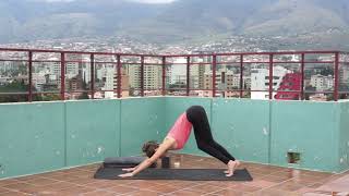 50 Minute Vinyasa: Cochabamba, Bolivia | A.G.A.P.E. Wellness