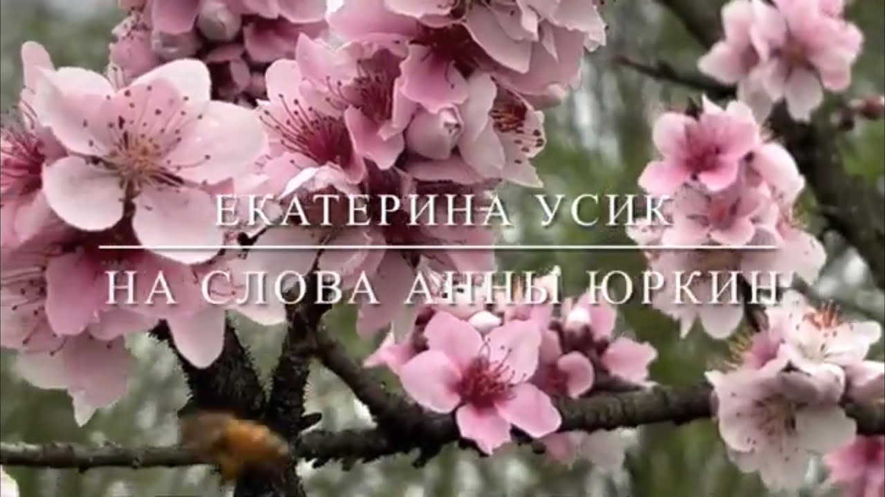 ПОСТОЙ НА ПУТИ ДРУГ и СЕРДЦЕМ ПОСЛУШАЙ… #христианская песня Екатерина ...