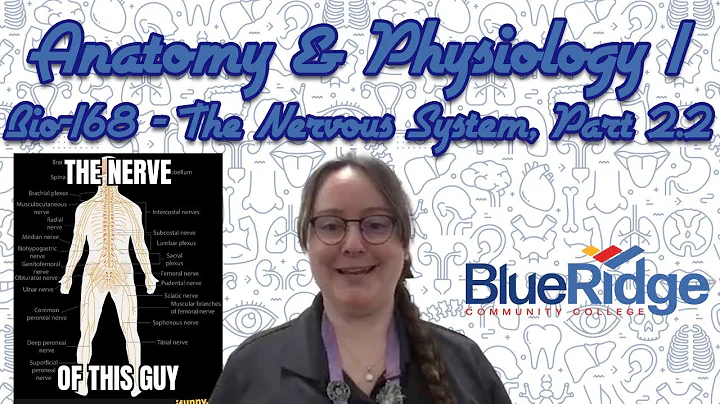 BIO168 - The Nervous System, Part 2.2 - Chapter 11, Part 2