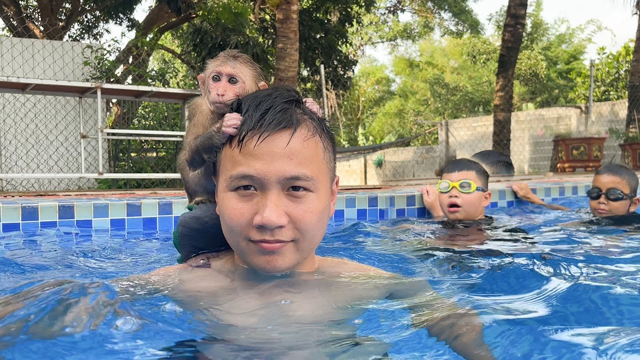 Monkey Cubis experiences the swimming pool with Dad and the kids!