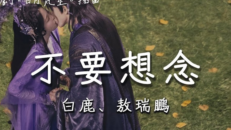 白鹿、敖瑞鵬 | 不要想念 (影視劇《白月梵星 Moonlight Mystique》插曲) Official Lyrics Video【高音質 動態歌詞】
