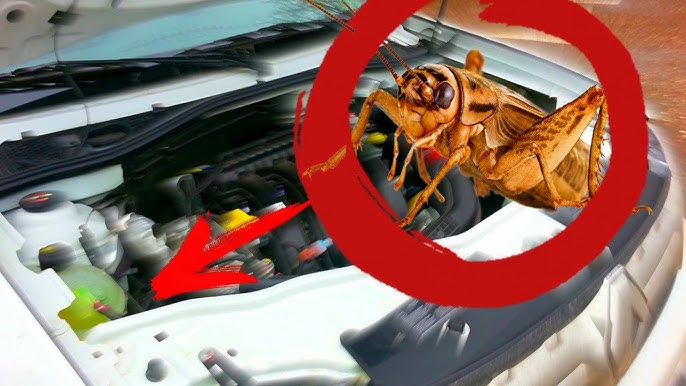 Кіре берісте жылдам Мен аяқтадым, содан кейін қайтадан