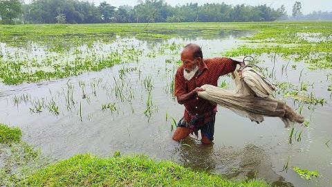Very Amazing Net Fishing Skill - Cast Net Fishing Videos - Traditional Net Fishing Videos