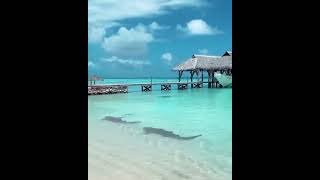 Beautiful Island view.#tourism #travel #nature #beach