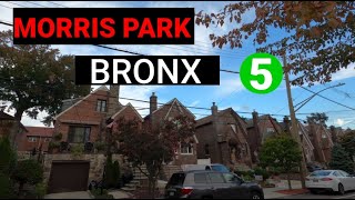 Exploring Bronx - Exploring Morris Park | Bronx, NYC