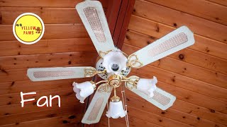 Ceiling Fan Videos for Babies  |  Giant & Ceiling FAN Compilation  |  Funny Video  |  Part 2