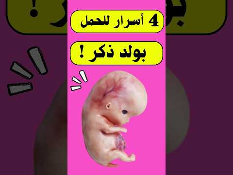 4 أسرار للحمل بولد ذكر الحمل الجنين الحمل والولادة حامل حمل