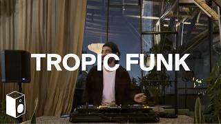 Funky House DJ Set in Mexico City | Purple Disco Machine, ANOTR, Gilberto Gil | Bookshelf Sessions
