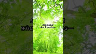 What Are You Missing About Reality? #Consciousness #Philosophy #TruthSeeking #HumanCondition