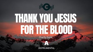 Thank You Jesus For The Blood - Charity Gayle  (Instrumental) | Key - A