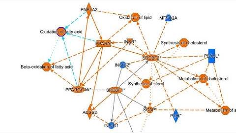Examining Graphical Summary results in QIAGEN Ingenuity Pathway Analysis software video tutorial