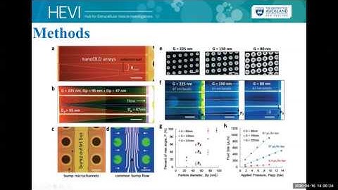 "Nanoscale deterministic lateral displacement arrays are used for separation of EVs" by Colin Hisey.