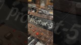 Sequential Circuits Prophet-5 Vintage Analog Synthesizer Demo