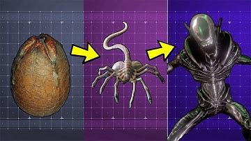 The Disturbing Life Cycle of the Xenomorph Explained