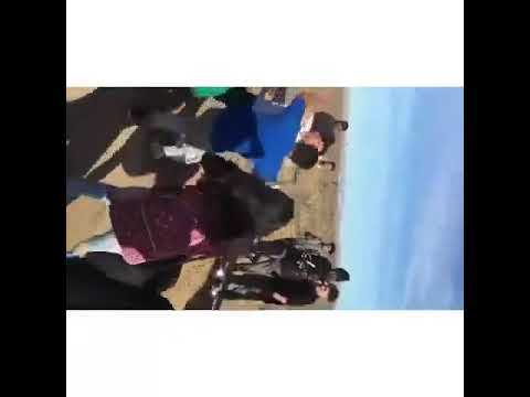 Adelanto high school fight