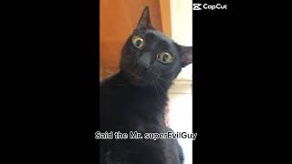 Evil Lary… #sehar #aEvil#Evil Lary