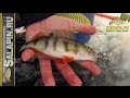 Нестандартная рыбалка на озере Плещеево [salapinru]