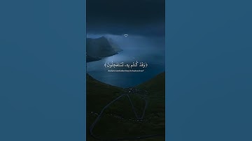 أرح قلبك #تلاوة_خاشعة #عبد_الرحمن_مسعد #راحة_نفسية #المصحف #القرآن_الكريم #طمأنينة_القلب #طمأنينه