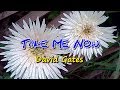 Take Me Now - David Gates (KARAOKE VERSION)