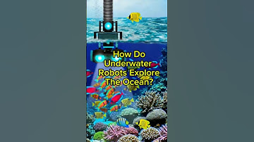 How Underwater Robots Revolutionize Ocean Exploration