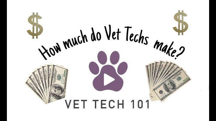 How much do vet assistants make in florida